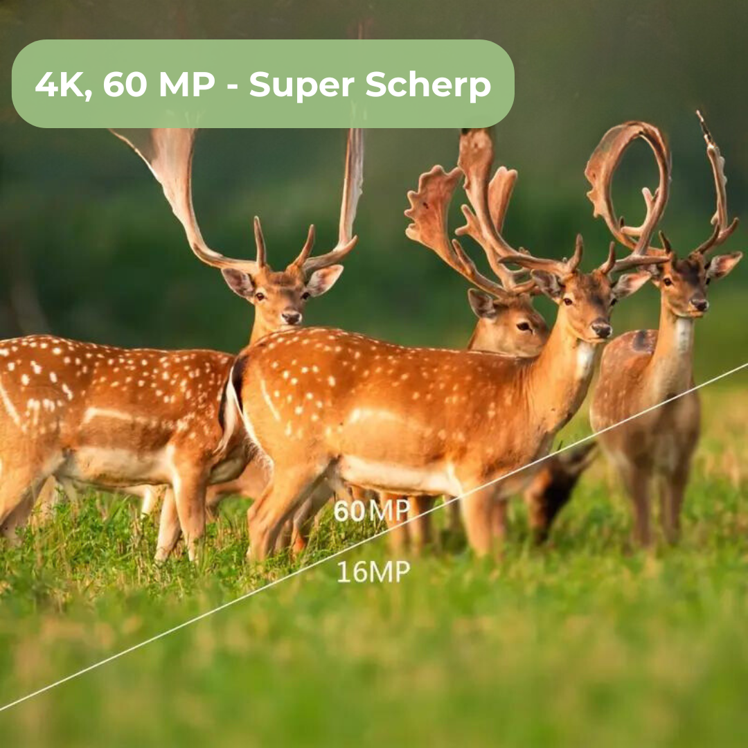 OutdoorHaven Wildcamera - 4K Ultra HD 60 MP - Met App - OutdoorHavenNL