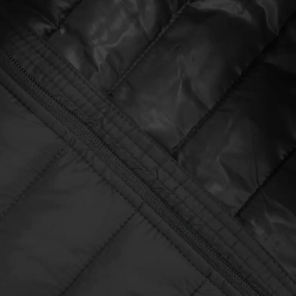 Heren Gewatteerd Jack – Warm & Winddicht – Herfst