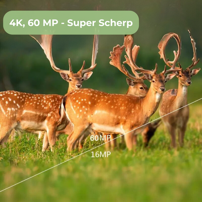OutdoorHaven Wildcamera - 4K Ultra HD 60 MP - Met App